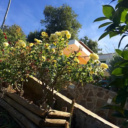 Casa Da Mata